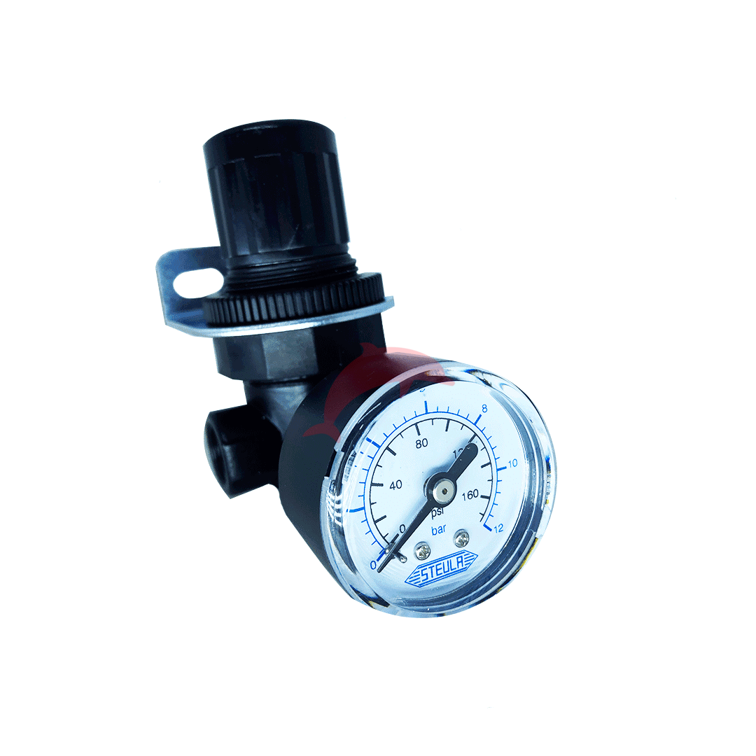 REGULADOR PRESSÃO MINI 1/4